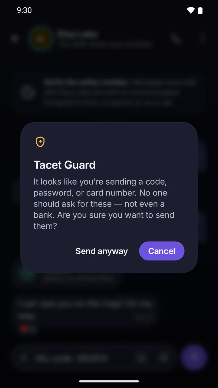 Guard before sending: it looks like you are sending a code, password or card number; Send anyway or Cancel.