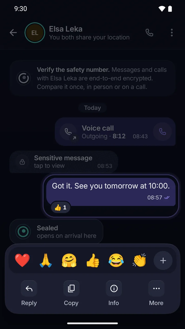 The action sheet: reactions in the first row, then Reply, Copy, Translate, Message info and Delete message.