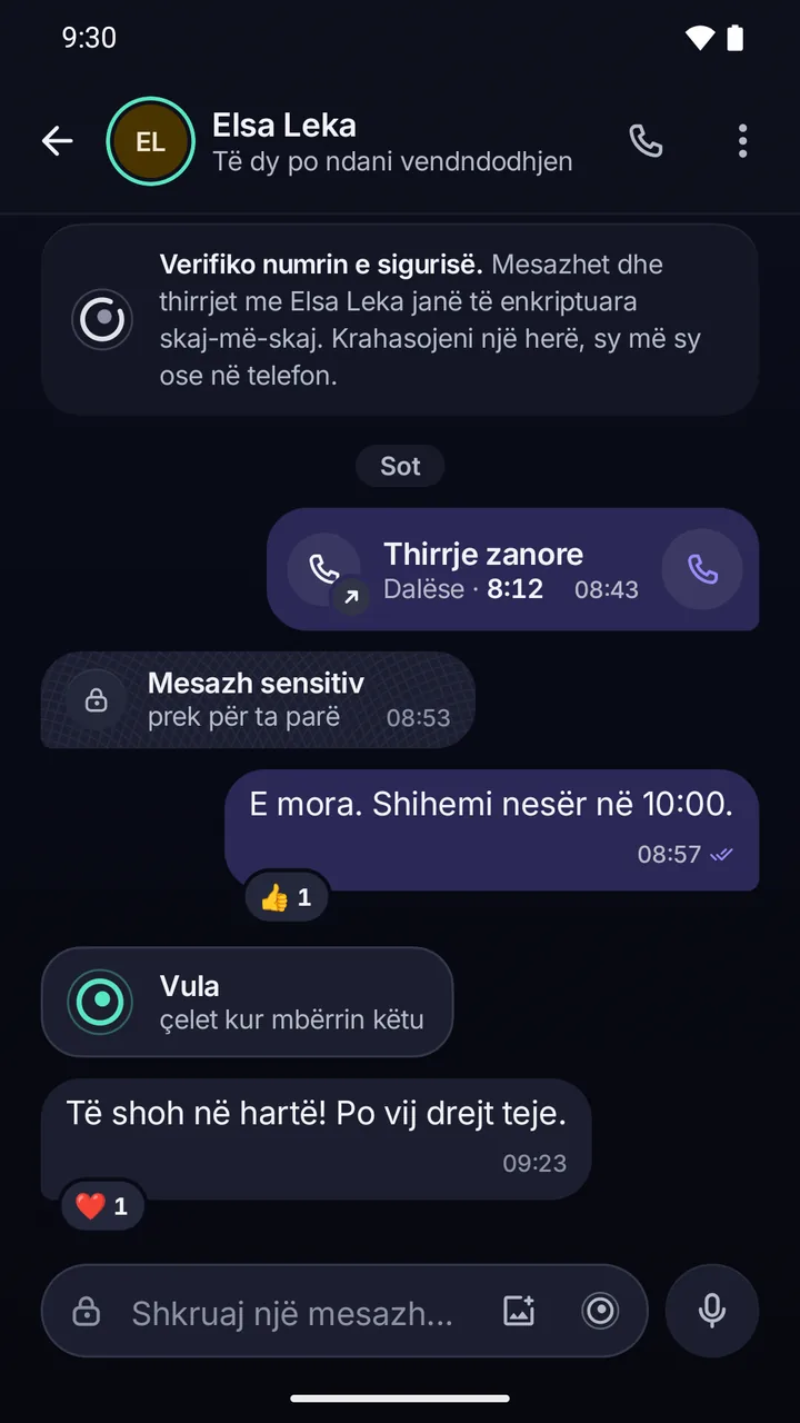 Biseda me Elsa Leka: lart shënimi që mesazhet dhe thirrjet janë të fshehtëzuara skaj-më-skaj; poshtë një thirrje zanore, një mesazh sensitiv i mbuluar dhe një mesazh i vulosur.
